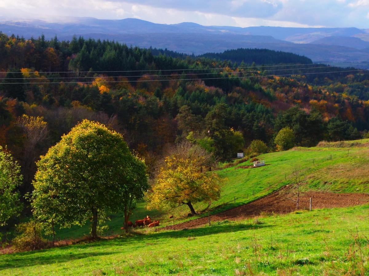 Le Vallon D'Armandine, Gite Ecologique Auvergne Saint-Hilaire  Exteriör bild