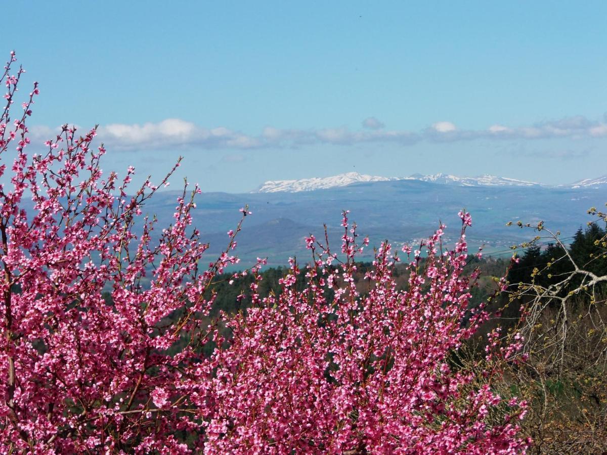 Le Vallon D'Armandine, Gite Ecologique Auvergne Saint-Hilaire  Exteriör bild
